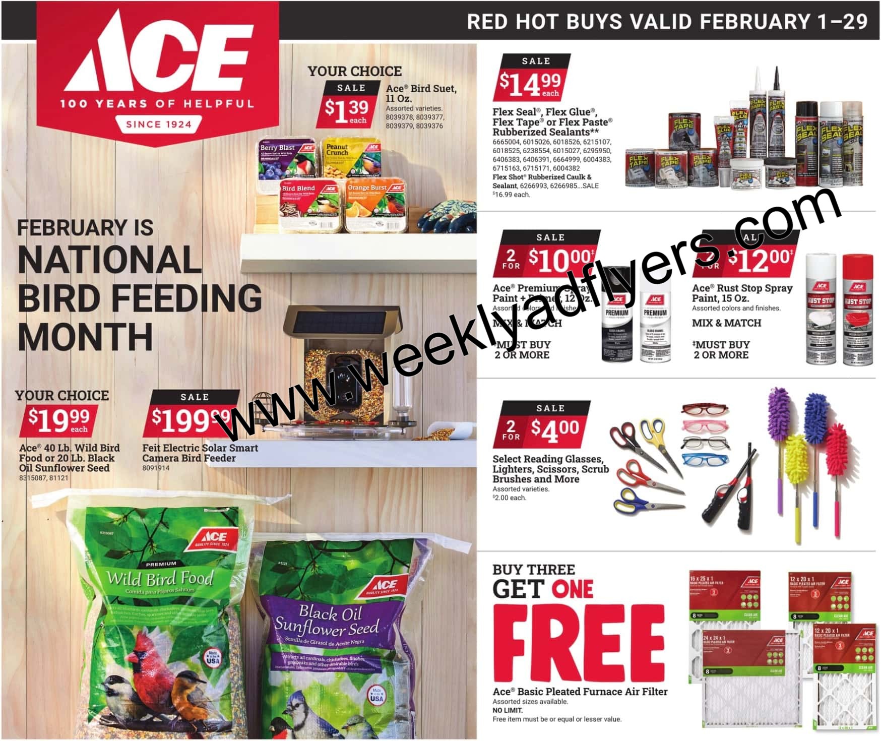 Ace Hardware Weekly Ad February 20 to February 26 2024 1 – ace hardware ad 1