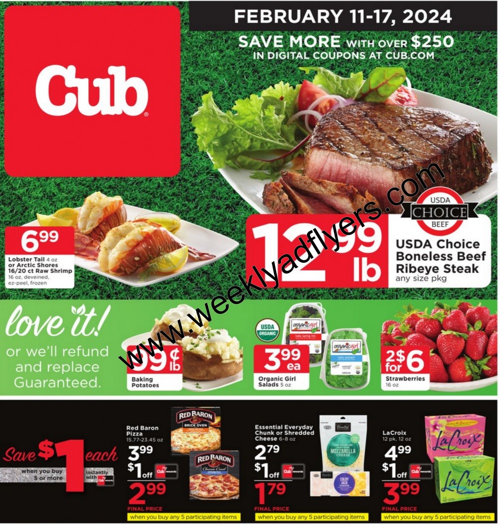 Cub Foods Weekly Ad March 3 to March 9, 2024 1 – cub ad 1 1