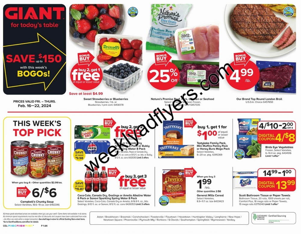 Giant Weekly Ad February 16 to February 22, 2024 1 – giant ad 1 3