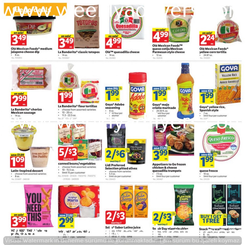 Lidl Weekly Ad February 21 to February 27, 2024 2 – lidl ad 3 1
