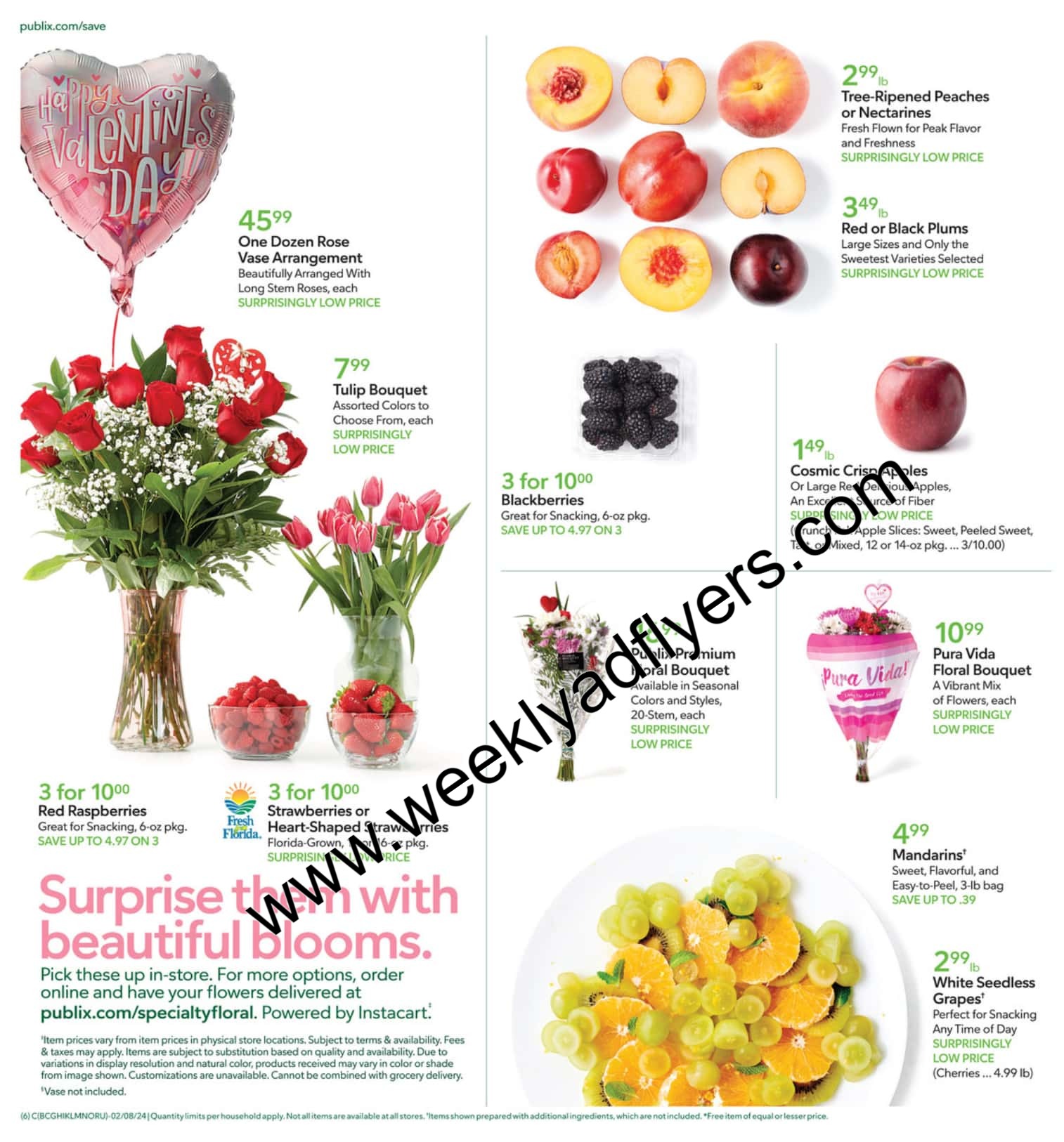 Publix Weekly Ad February 22 to February 28, 2025