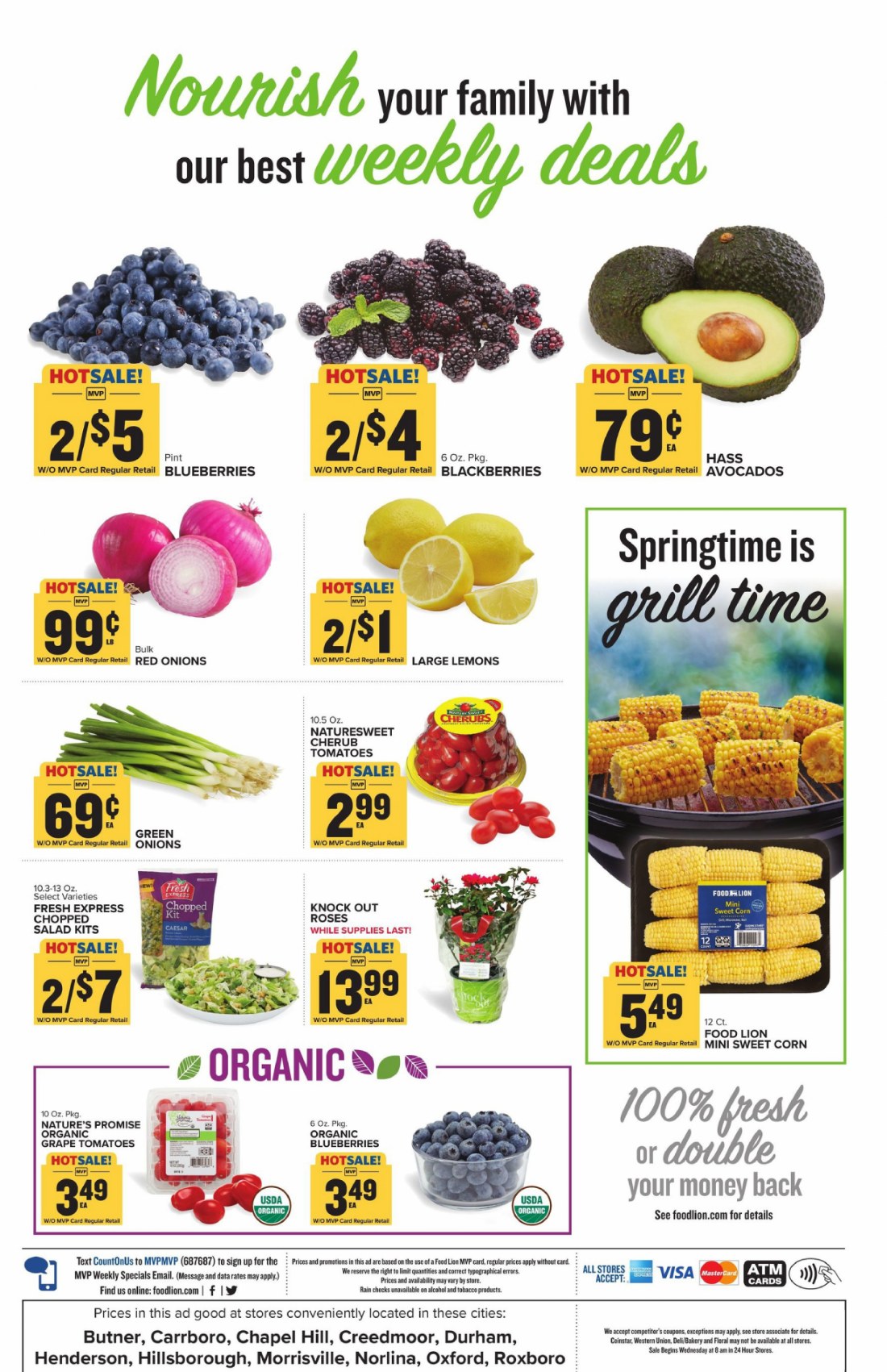 Food Lion Weekly Ad April 10 to April 16 2024 1 – food lion ad 10 3